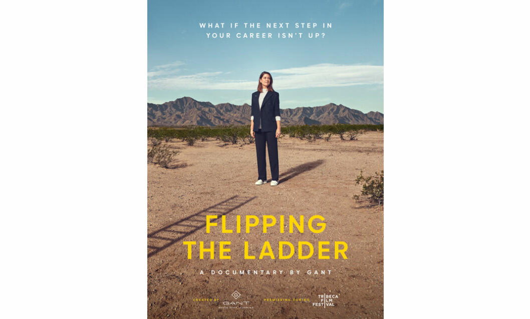 Flipping_the_ladder